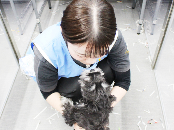 子犬と母犬は２年生がお世話します！